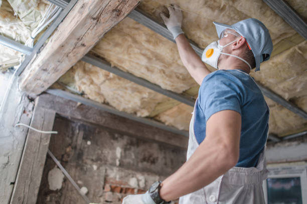 Best Affordable Insulation Services  in Oneida, TN