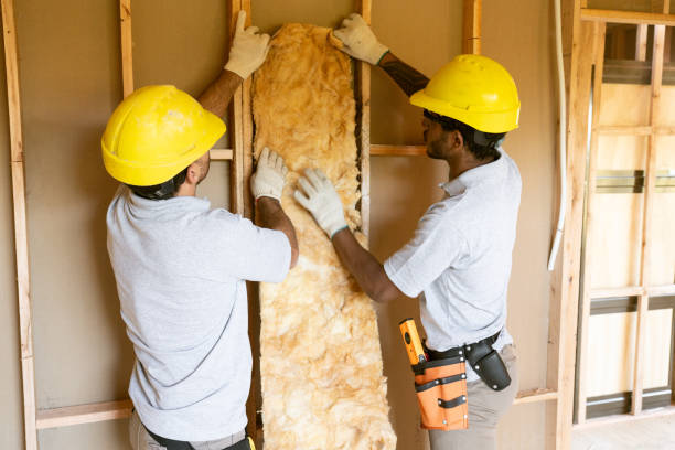 Best Soundproof Insulation Installation  in Oneida, TN