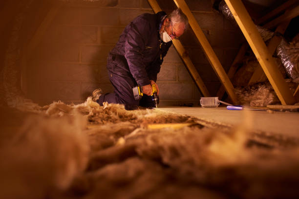 Best Attic Insulation Installation  in Oneida, TN